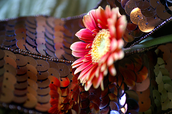 Flowers Set 08 - 20 - Flowers 08