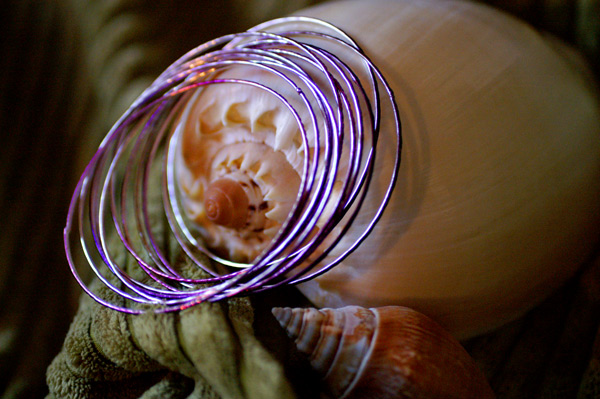 Flowers Set 08 - 31 - Flowers 08