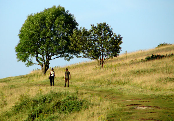 Cissbury 09 - Cissbury Ring