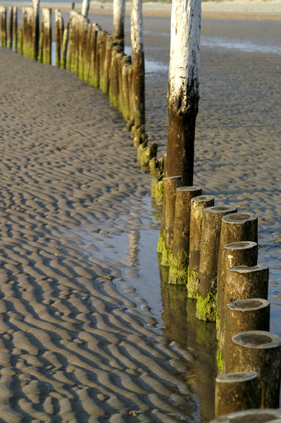 West Wittering - 21 - West Wittering
