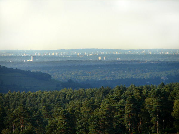 Leith Hill - 08 - Leith Hill