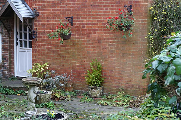 Capel & Leigh - 10 - Capel & Leigh