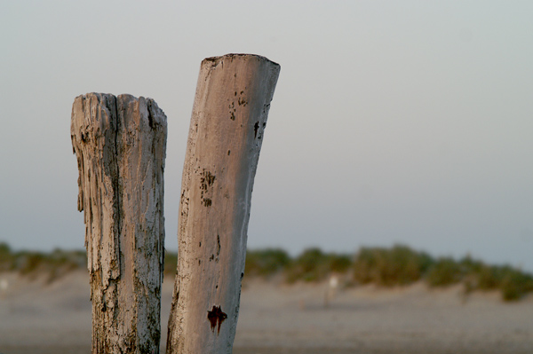 West Wittering - 53 - West Wittering