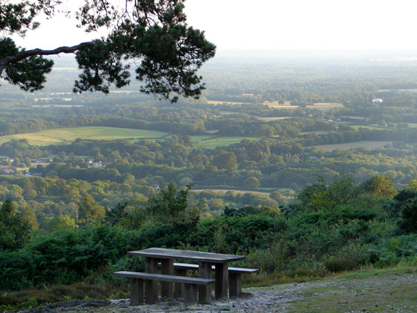 Leith Hill - 16 - Leith Hill