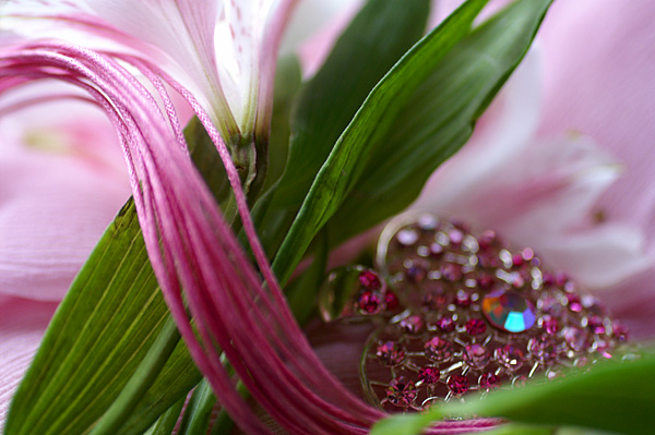 Flowers Set 08 - 49 - Flowers 08