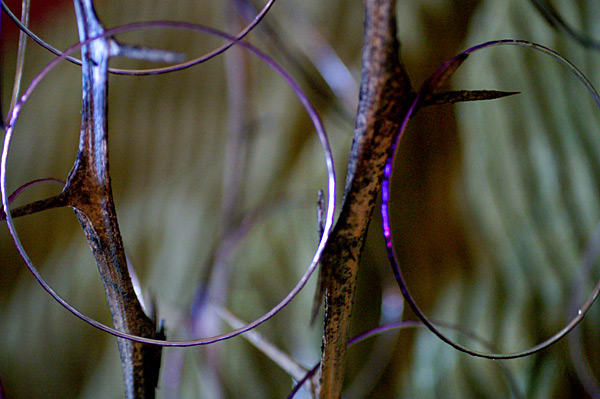 Flowers Set 08 - 35 - Flowers 08