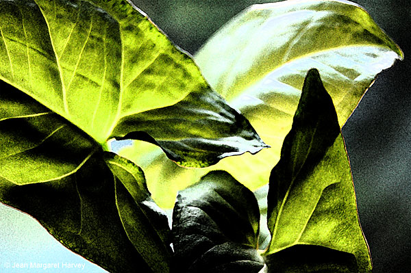 Translations II - 04 - Translations II