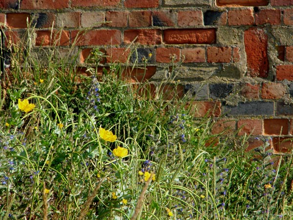 Shoreham Fort - 78 - Shoreham Fort