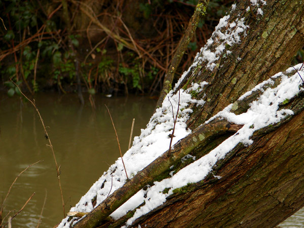  - Winter
