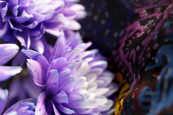 Flowers Set 2 - 13 - Flowers 02