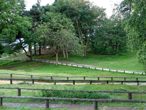 Leith Hill - 11 - Leith Hill