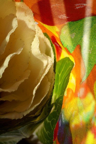 Flowers Set 1 - 17 - Flowers 01