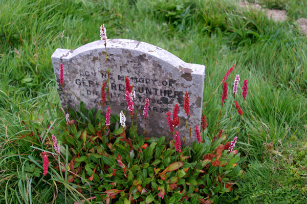 Okewood Churchyard - 11 - Okewood Churchyard