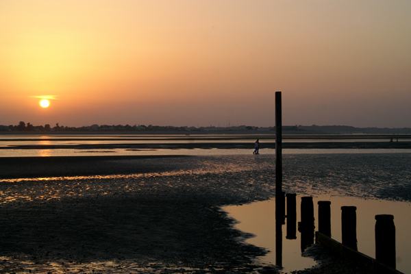 West Wittering - 64 - West Wittering