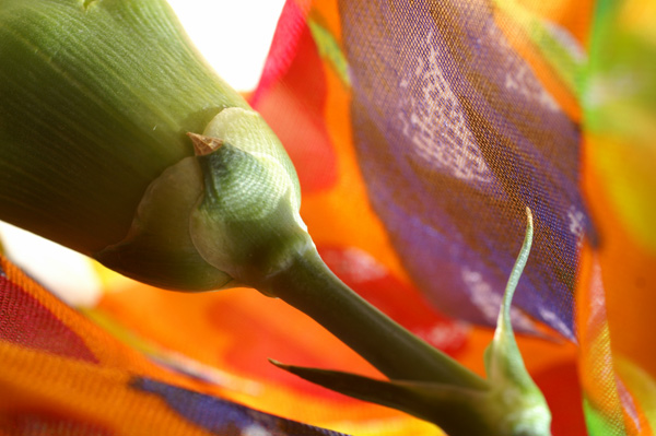 Flowers Set 1 - 12 - Flowers 01