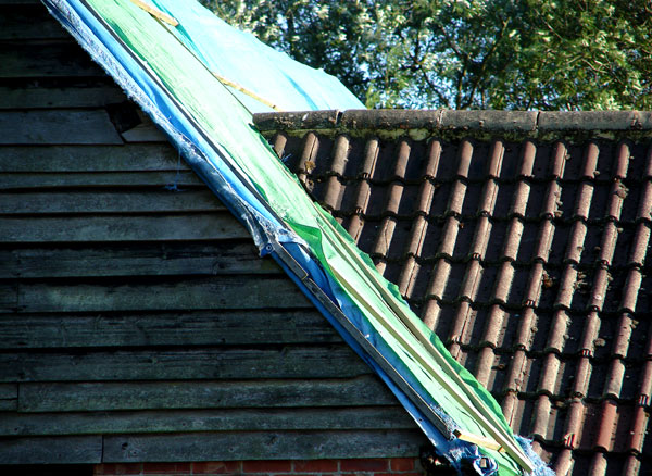 Horsham Set 2 - 11 - Horsham 2