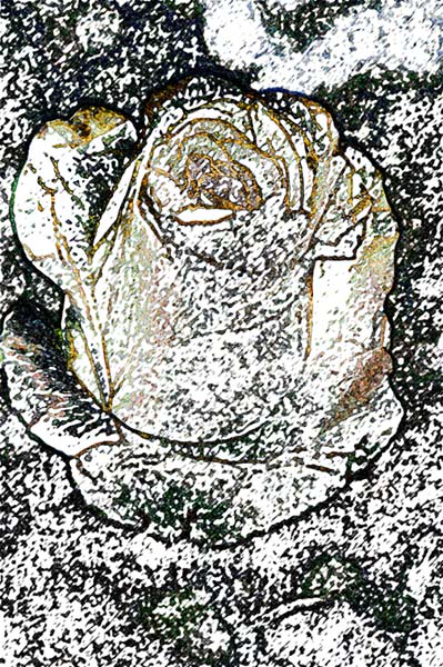 Translations - 18 - Translations