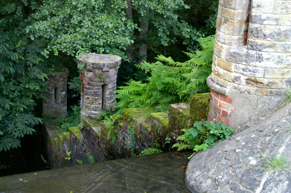 Buchan Park - 22 - Buchan Park