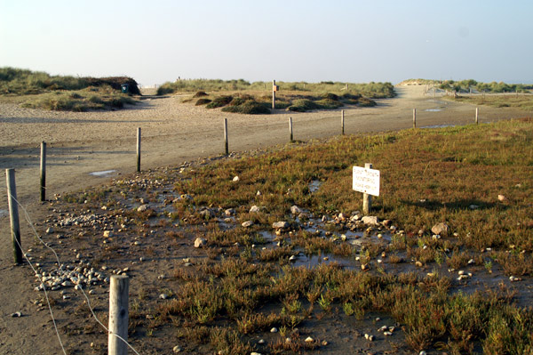 West Wittering - 02 - West Wittering