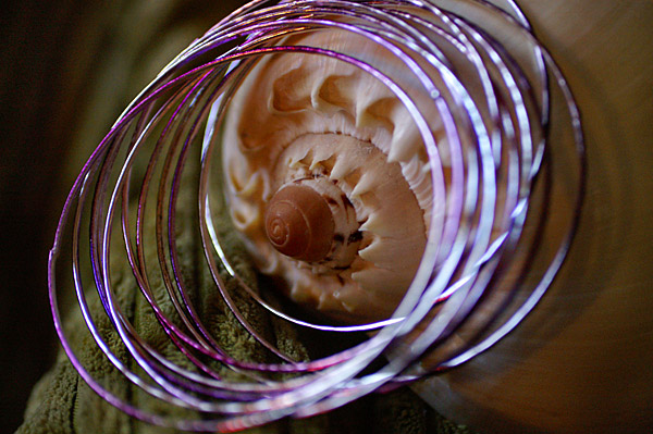 Flowers Set 08 - 30 - Flowers 08