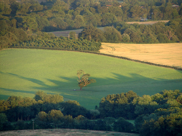 Leith Hill - 17 - Leith Hill
