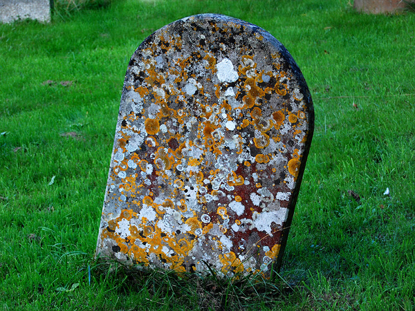 Slinfold Set 1 - 04 - Slinfold Churchyard