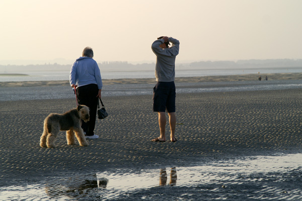 West Wittering - 30 - West Wittering