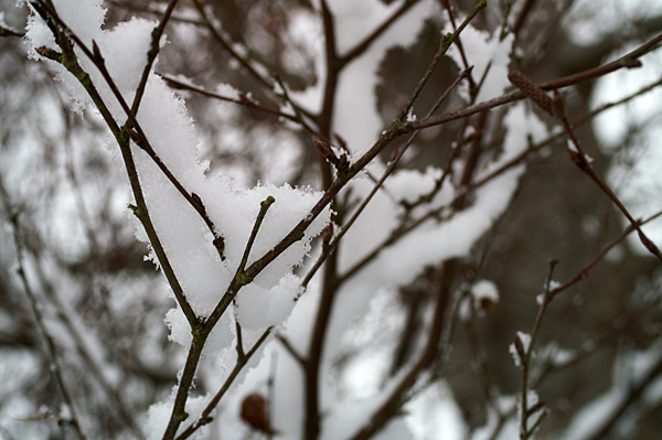 Snow - 05 - Snow