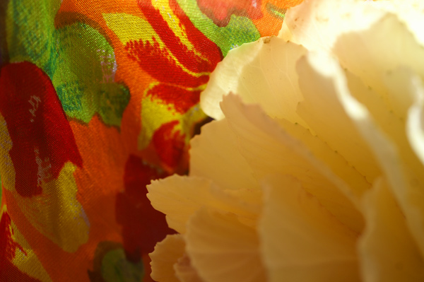 Flowers Set 1 - 18 - Flowers 01