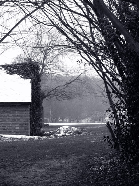  - Winter - tinted