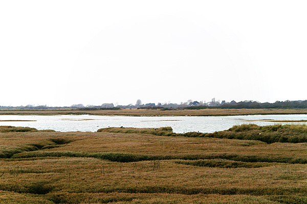Pagham & Selsey - 04 - Pagham & Selsey