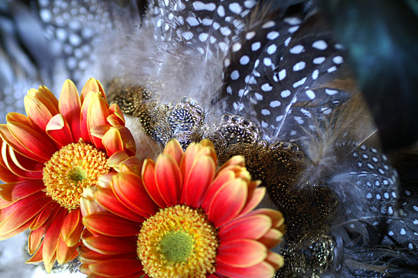 Flowers Set 08 - 09 - Flowers 08