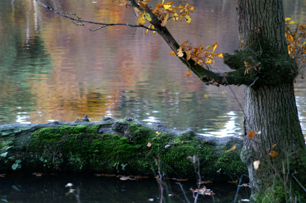 Buchan Park 2 - 10 - Buchan Park 2