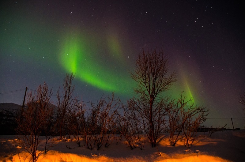 Northern Lights ~ Tromso 5 - Northern Lights - Thurs