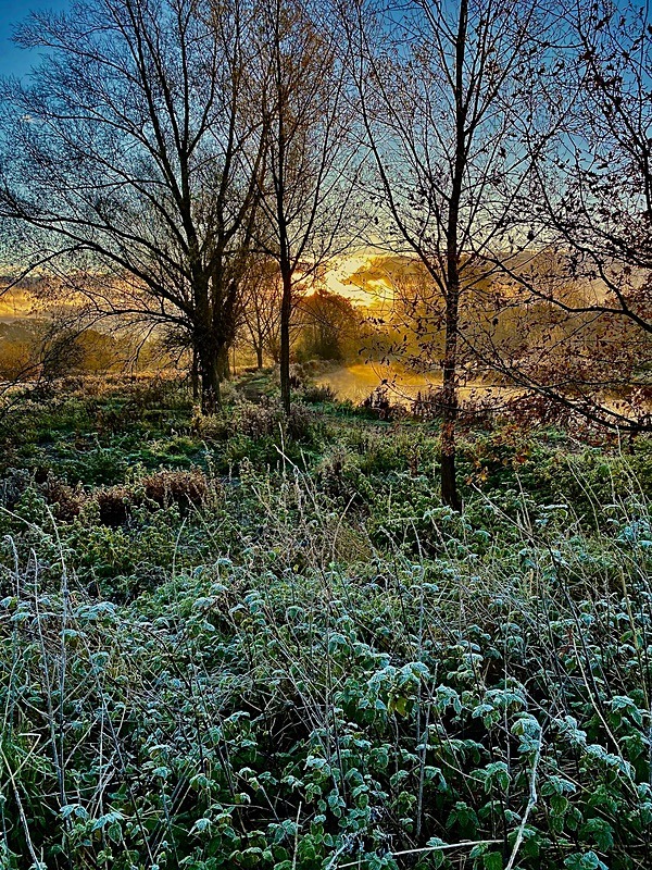 Sunrise Autumn 1~ Blackwater and Chelmer Canal - New additions for 2023