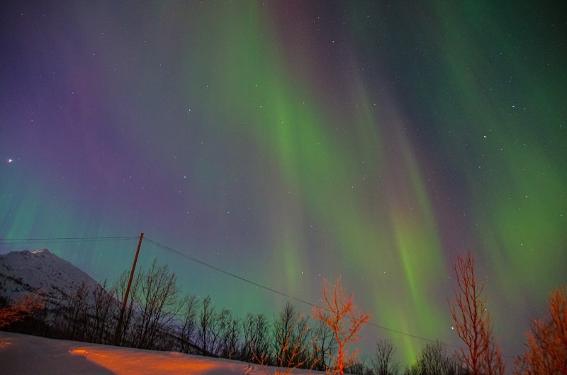 Northern Lights ~ Tromso 7 - Northern Lights - Thurs