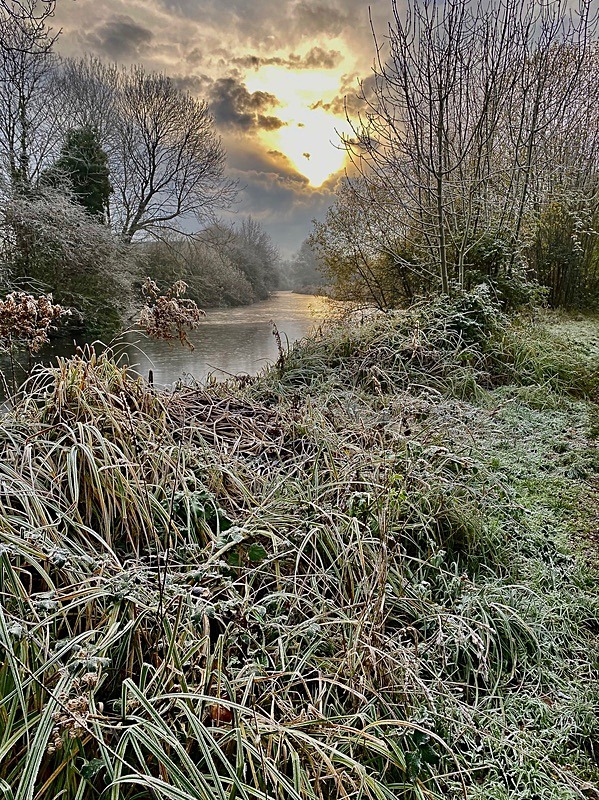Frosty Day ~ Maldon 1 - New additions for 2023