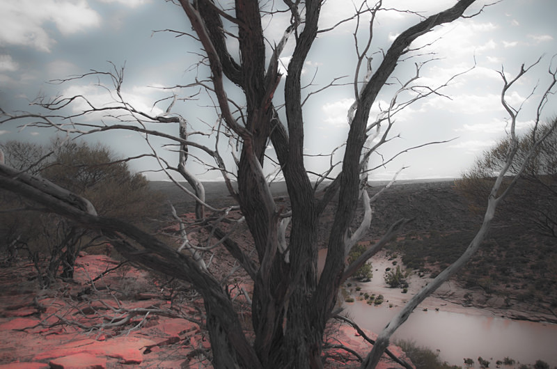 The Outback III - Western Australia