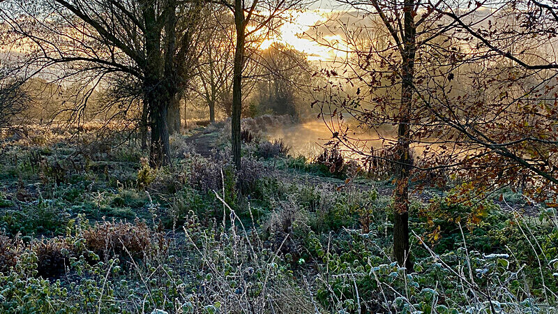 Frosted Sunrise II - Isolation Portfolio - Up load of recent and past un published work!