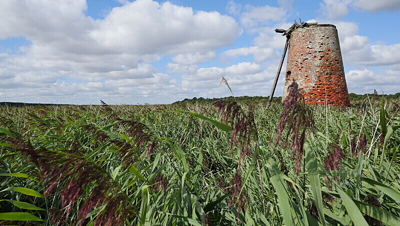 Old water mill ~ Walberswick nature reserve, Suffolk - Isolation Portfolio - Up load of recent and past un published work!