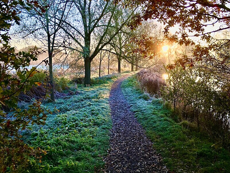 Early November morning ~ Blackwater & Chelmer Canal - Isolation Portfolio - Up load of recent and past un published work!