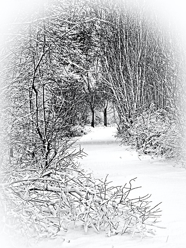Snow Tunnel (8) - Numbers of last photo cards remaining.