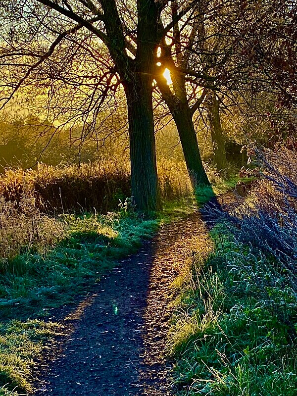 Sunrise Path - Isolation Portfolio - Up load of recent and past un published work!