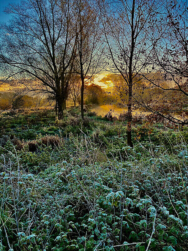 Frosted Sunrise I - Isolation Portfolio - Up load of recent and past un published work!