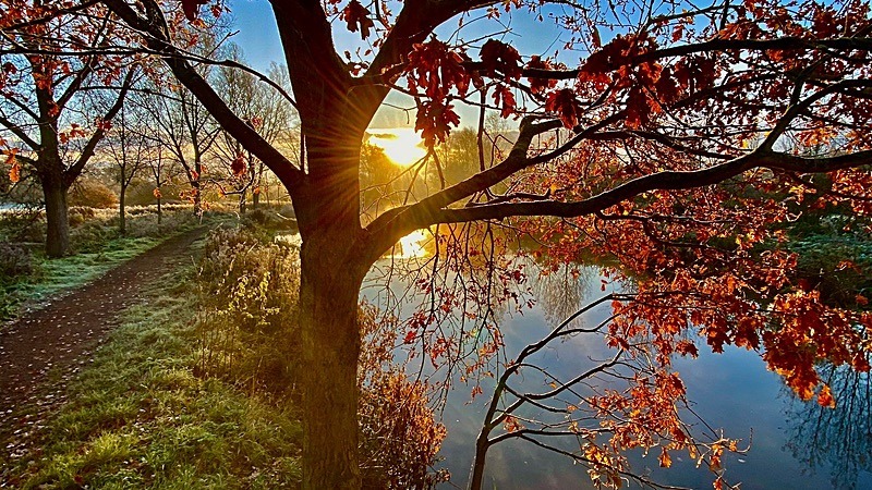 Sunrise Over Canal 2 - New additions for 2023