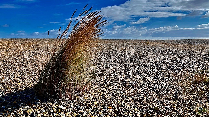 Suffolk Beach - New additions for 2023