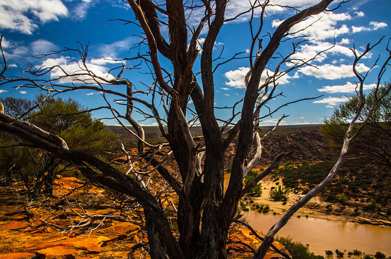 The Outback I - Western Australia