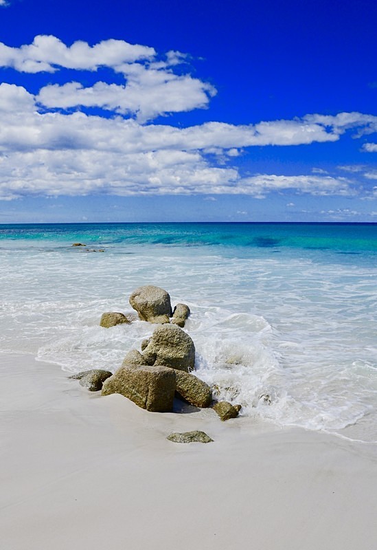 Boulders~Beach & Breakers - Exhibition Gallery
