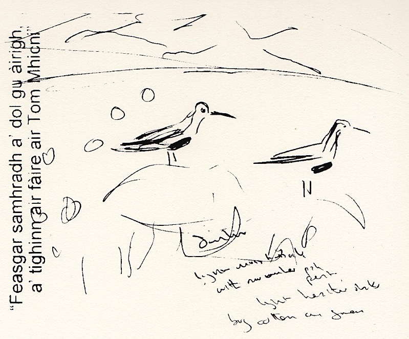 feasgar samhradh - a-mach an gleann: screenprints