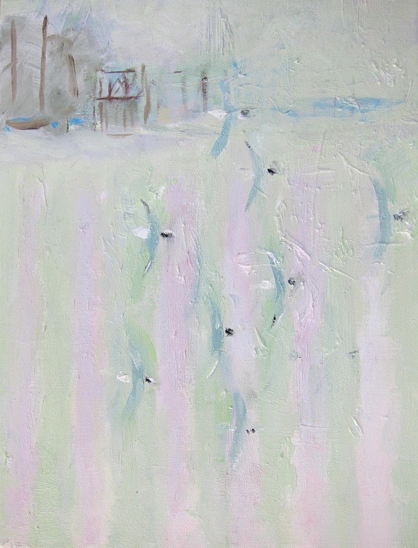 gulls, Bragar machair - paintings from field-sketches